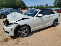 WBA2K9C3XHV647529 2017 BMW 2ER