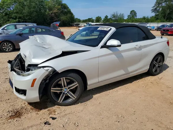 WBA2K9C3XHV647529 2017 BMW 2ER - Image 1