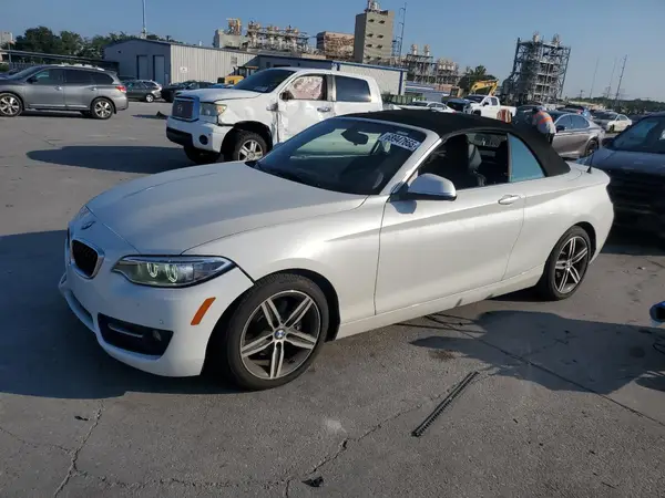 WBA2K9C3XHV950665 2017 BMW 2ER - Image 1