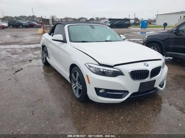 WBA2K9C51HV646724 2017 BMW 2ER - Image 1
