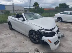 WBA2K9C54HV647155 2017 BMW 2ER