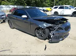 WBA2L1C30HV666511 2017 BMW 2ER