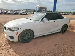 WBA2L1C32HV666865 2017 BMW M2