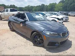 WBA2L1C33HV666776 2017 BMW 2ER