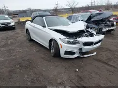 WBA2L1C36HV666710 2017 BMW 2ER