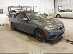 WBA2L1C38HV666501 2017 BMW 2ER