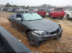 WBA2L1C39HV666698 2017 BMW 2ER