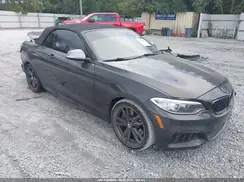WBA2L1C3XHV666399 2017 BMW 2ER