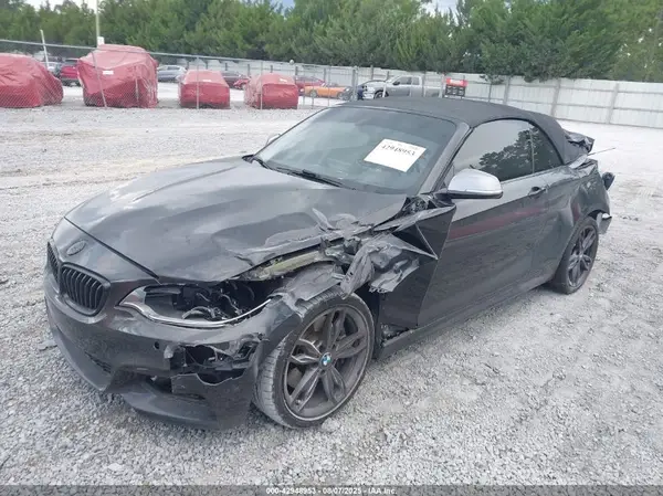 WBA2L1C3XHV666399 2017 BMW 2ER - Image 2