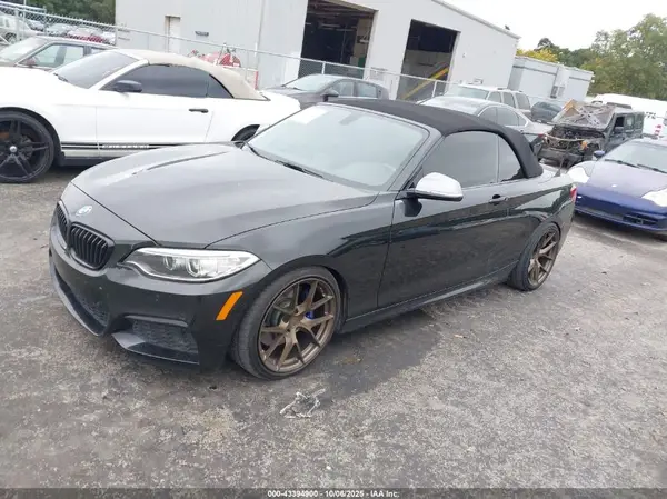 WBA2L1C51HV666325 2017 BMW 2ER - Image 2
