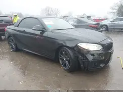 WBA2L1C59HV666167 2017 BMW 2ER