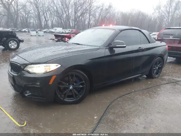 WBA2L1C59HV666167 2017 BMW 2ER - Image 2