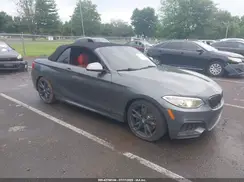 WBA2L3C31HV667579 2017 BMW 2ER