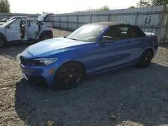WBA2L3C32HV667736 2017 BMW 2ER