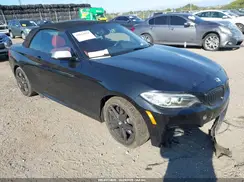 WBA2L3C38HV667398 2017 BMW 2ER