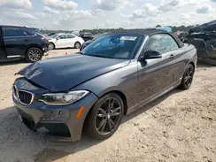 WBA2L3C51HV667129 2017 BMW 2ER