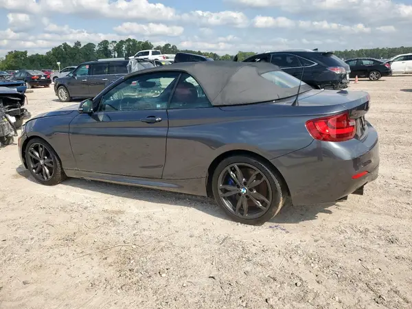 WBA2L3C51HV667129 2017 BMW 2ER - Image 2