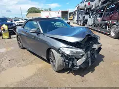 WBA2L3C52HV667298 2017 BMW 2ER