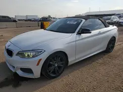 WBA2L3C5XHV667274 2017 BMW 2ER
