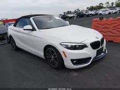 WBA2M7C01L7E41875 2020 BMW 2ER