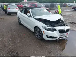WBA2M7C03L7E51713 2020 BMW 2ER