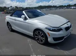 WBA2M7C50JVA97508 2018 BMW 2ER