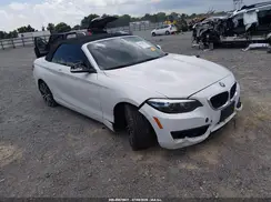 WBA2M7C52JVA97588 2018 BMW 2ER