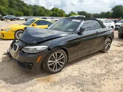 WBA2M7C54JVA97253 2018 BMW 2ER