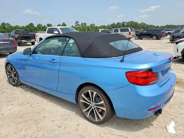 WBA2M7C55JVA97648 2018 BMW 2ER - Image 2