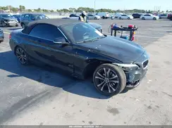 WBA2M7C56JVD51464 2018 BMW 2ER
