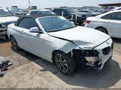 WBA2M7C56KVD52017 2019 BMW 2ER