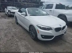 WBA2M7C57KVD52236 2019 BMW 2ER