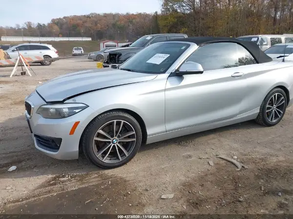 WBA2M7C58JVA97367 2018 BMW 2ER - Image 2