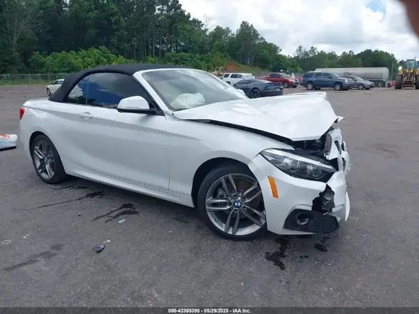 WBA2M7C59KVD51993 2019 BMW 2ER - Image 1