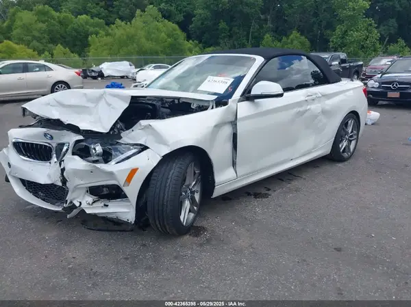 WBA2M7C59KVD51993 2019 BMW 2ER - Image 2