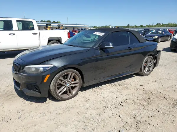 WBA2M7C59KVD52058 2019 BMW 2ER - Image 1