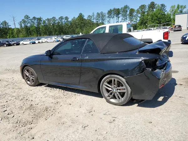 WBA2M7C59KVD52058 2019 BMW 2ER - Image 2