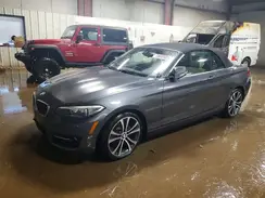 WBA2M9C30HV717954 2017 BMW 2ER