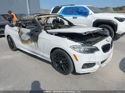 WBA2M9C32HV985808 2017 BMW 2ER