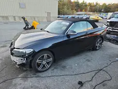 WBA2M9C34HV985647 2017 BMW 2ER