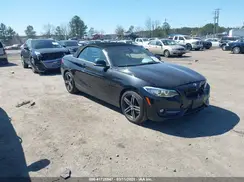WBA2M9C38HV717684 2017 BMW 2ER