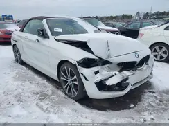 WBA2M9C3XH7A47644 2017 BMW 2ER