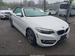 WBA2M9C3XH7A47692 2017 BMW 2ER