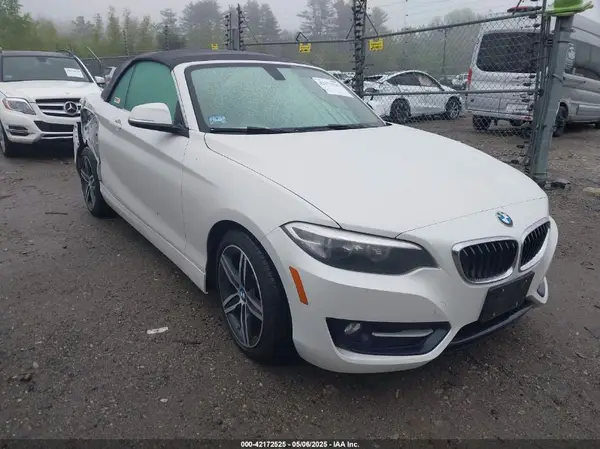 WBA2M9C3XH7A47692 2017 BMW 2ER - Image 1