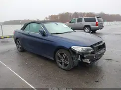 WBA2M9C3XHV717556 2017 BMW 2ER