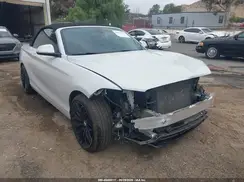 WBA2M9C3XHV717749 2017 BMW 2ER