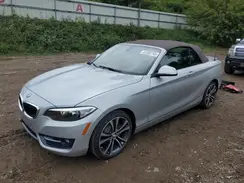 WBA2M9C53HV717125 2017 BMW 2ER