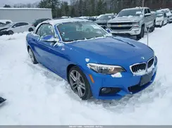 WBA2M9C56HV717359 2017 BMW 2ER