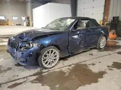 WBA2M9C58HV717167 2017 BMW 2ER