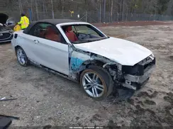 WBA2M9C58HV717282 2017 BMW 2ER